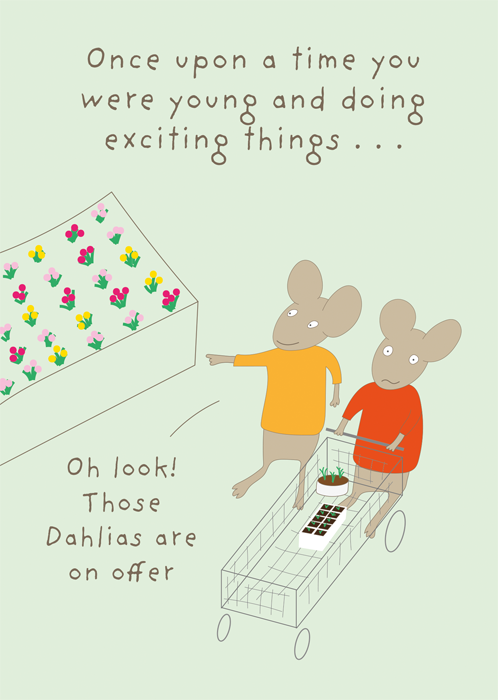 Dahlias on offer