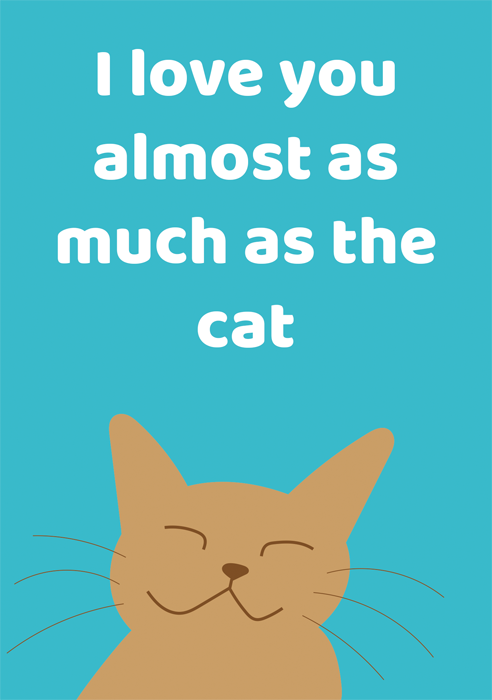 Love as much as cat
