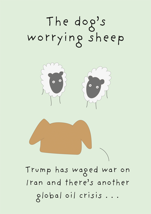 Dog worrying sheep