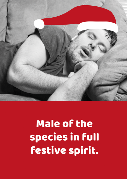 Male of the species